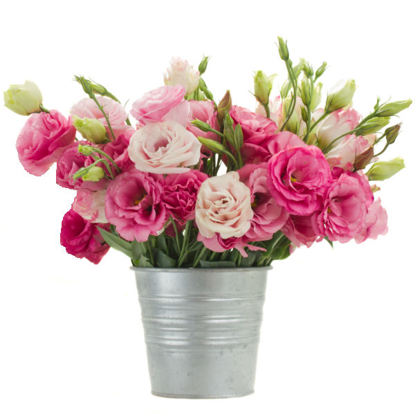 We-absolutely-love-lisianthus!
