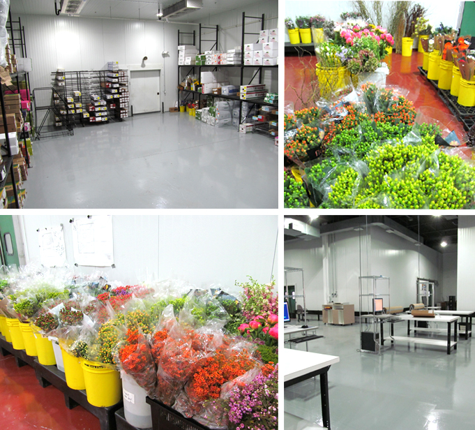 Main Wholesale Florist NJ