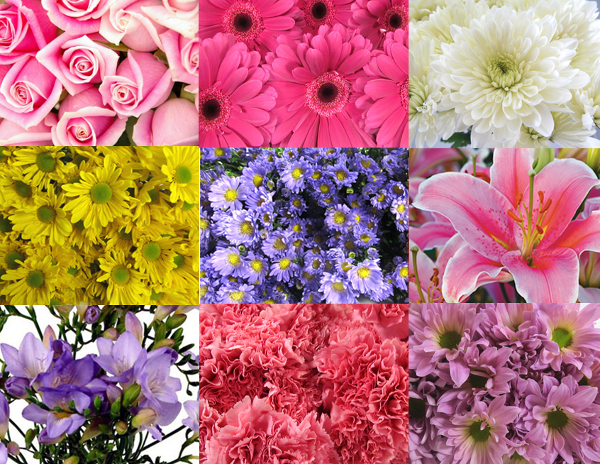 Main Wholesale Florist Mother's Day Flowers