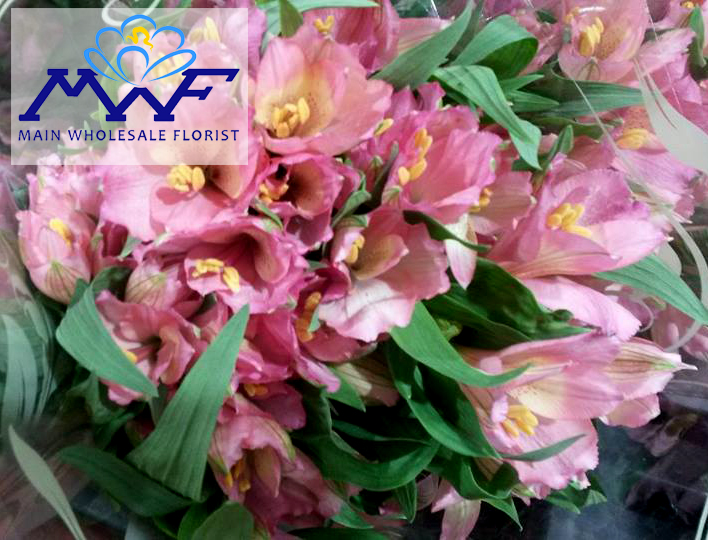 wholesalers and retail florists