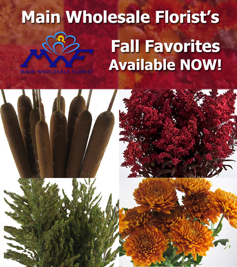 fall flower selections