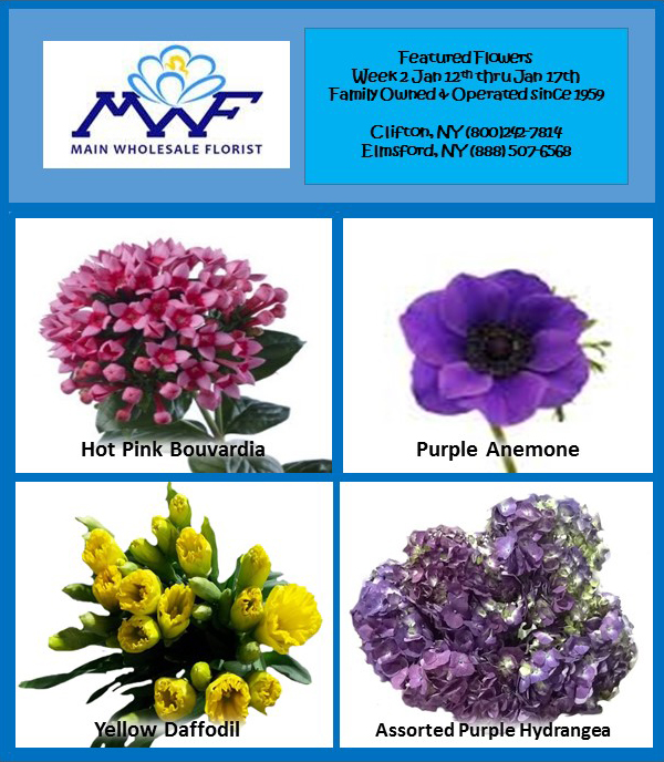 mwf-flower-specials-1-12-2015