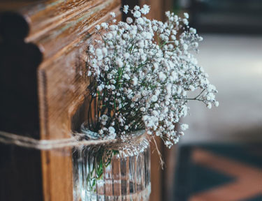Wholesale Flowers, White Excellence Gypsophila (Baby's Breath)