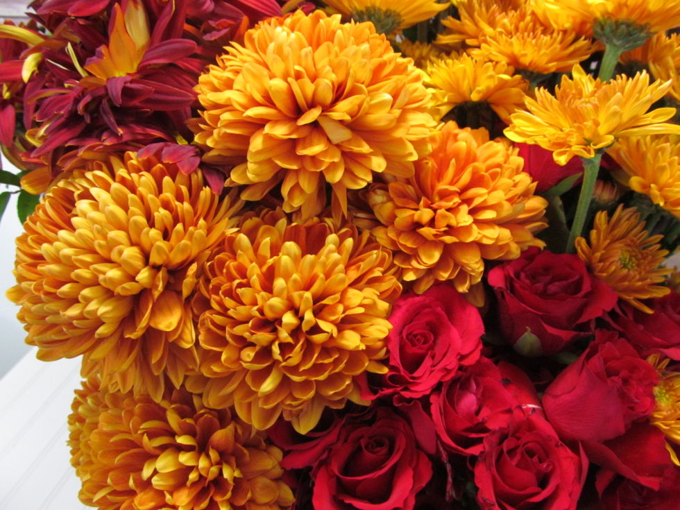 Fall Favorites Main Wholesale Florist