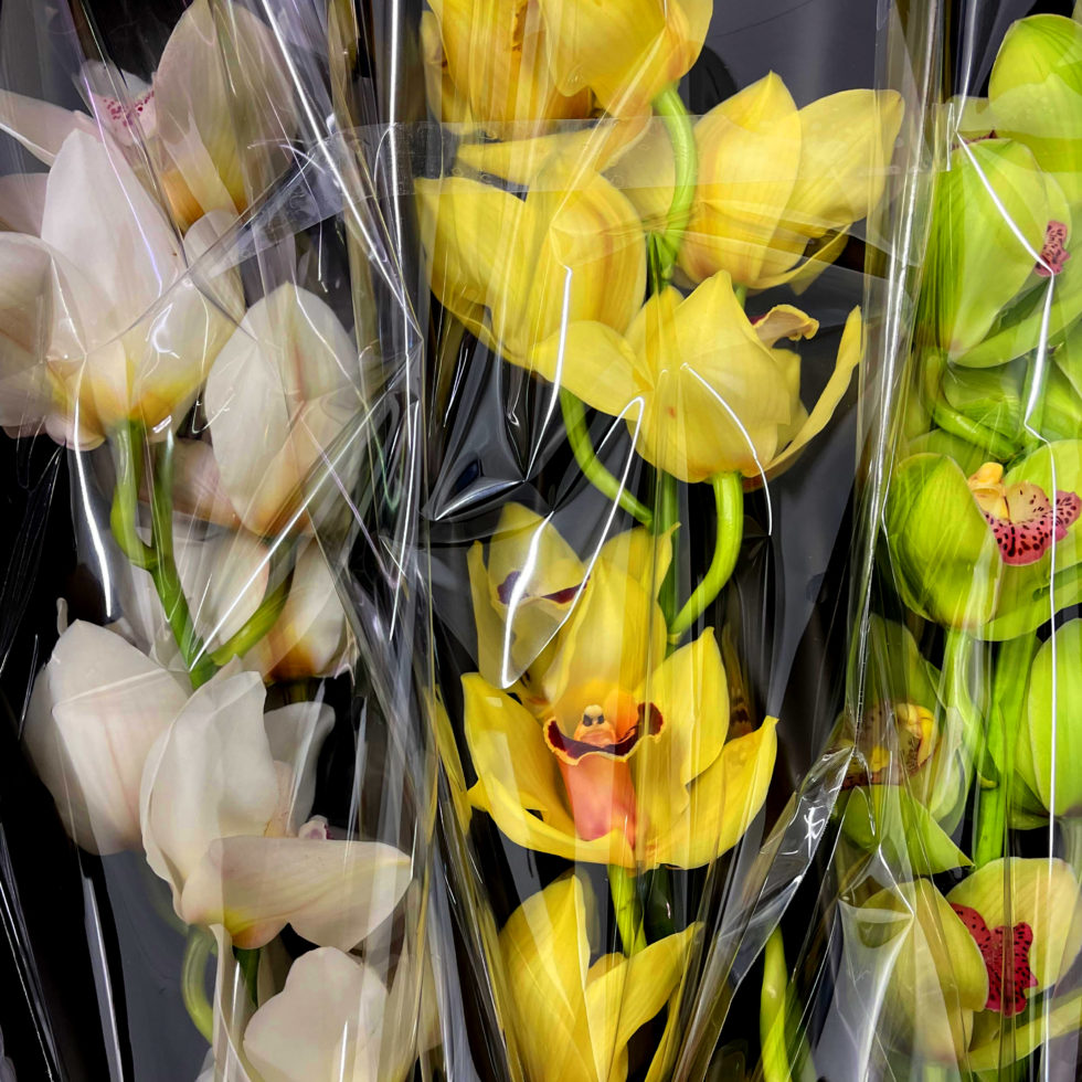 Main Wholesale Florist Premium Fresh Cut Wholesale Flowers